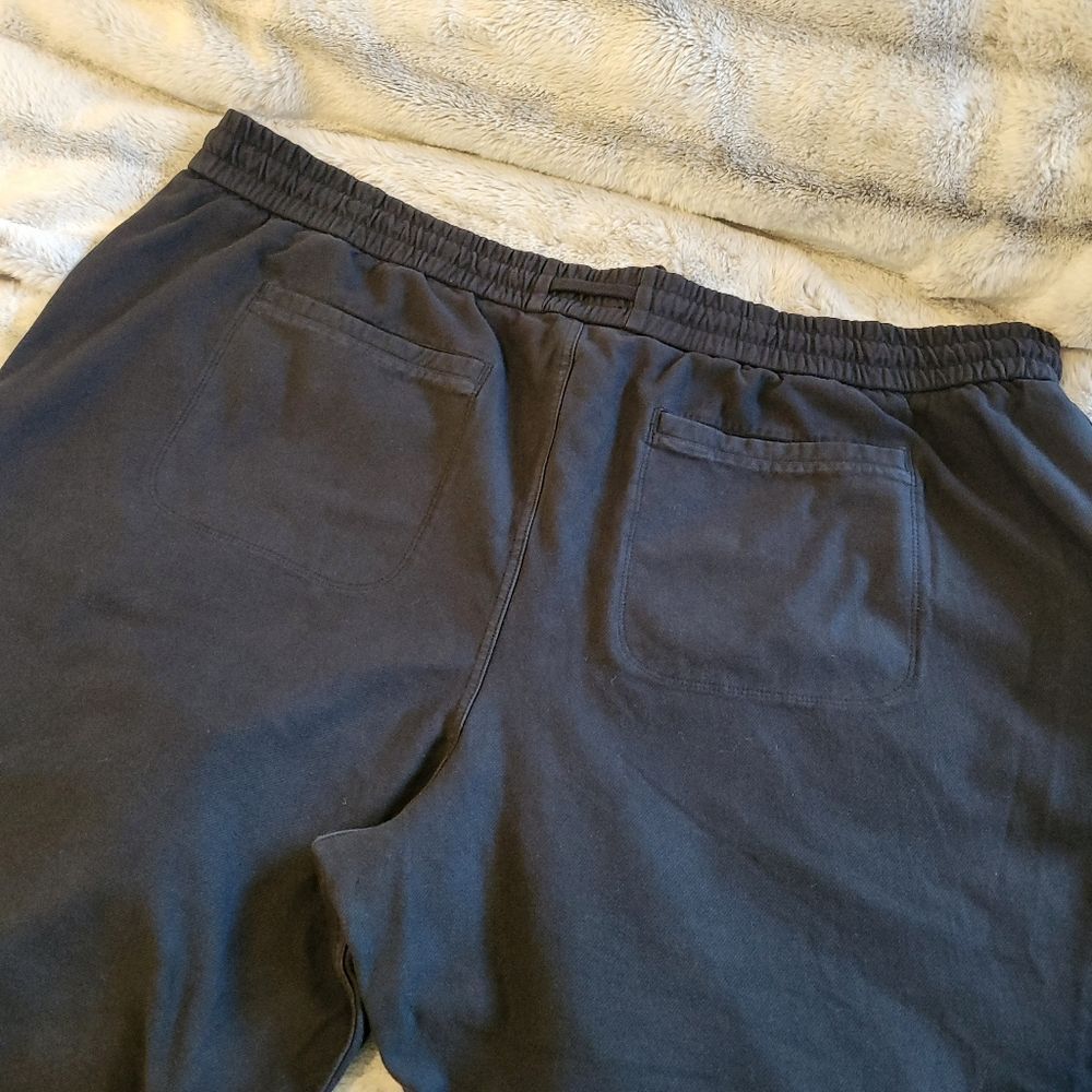 Athleta Plus Size Farallon Jogger Pants, Size 26 - Picture 7 of 13